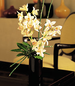  Uak iekiler  cam yada mika vazo ierisinde dal orkide