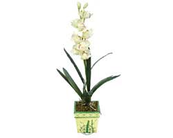 zel Yapay Orkide Beyaz   Uak online ieki , iek siparii 