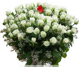  Uşak internetten çiçek satışı  100 adet beyaz 1 adet kirmizi gül buketi