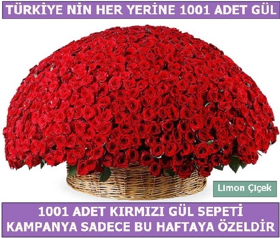 1001 Adet kırmızı gül Bu haftaya özel  Uşak İnternetten çiçek siparişi 