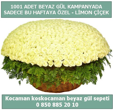 1001 adet beyaz gül sepeti özel kampanyada  Uşak çiçek gönderme sitemiz güvenlidir 