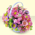  Uşak yurtiçi ve yurtdışı çiçek siparişi  bir sepet dolusu kir çiçegi  Uşak çiçek gönderme sitemiz güvenlidir 