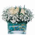 mika ve beyaz gül renkli taslar   Uşak çiçek satışı 