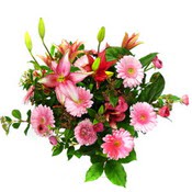 lilyum ve gerbera çiçekleri - çiçek seçimi -  Uşak çiçek gönderme 