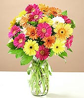  Uşak çiçek online çiçek siparişi  17 adet karisik gerbera