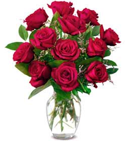  Uşak online çiçek gönderme sipariş  1 düzine kirmizi gül sevenlere özel vazo gülleri