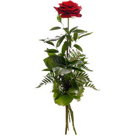  Uşak online çiçekçi , çiçek siparişi  1 adet kırmızı gülden buket