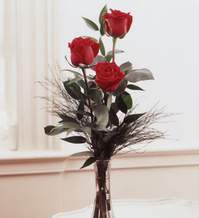  Uşak internetten çiçek satışı  Vazoda 3 adet güzel gül
