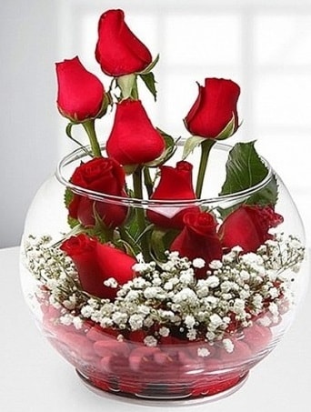 Kırmızı Mutluluk fanusta 9 kırmızı gül  Uşak çiçek siparişi sitesi 