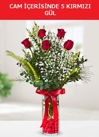 Cam içerisinde 5 adet kırmızı gül  Uşak çiçek siparişi sitesi 